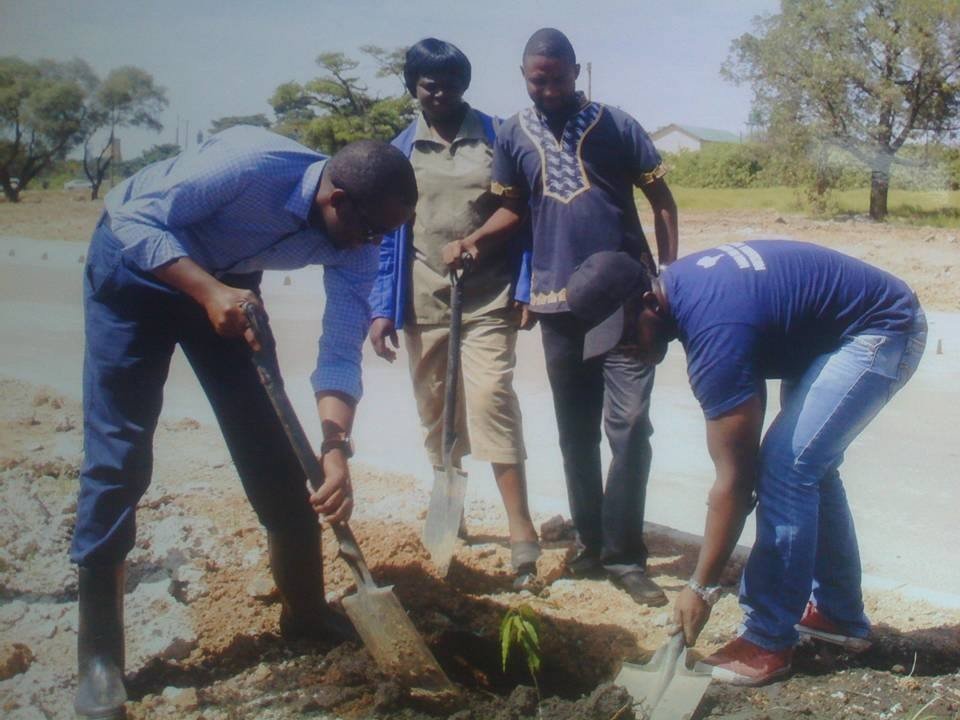 Kitwe Urban Forestry